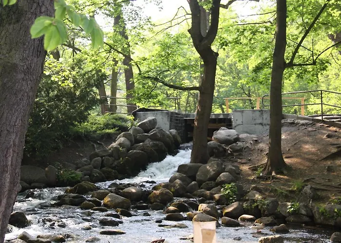 Primavera גדנסק